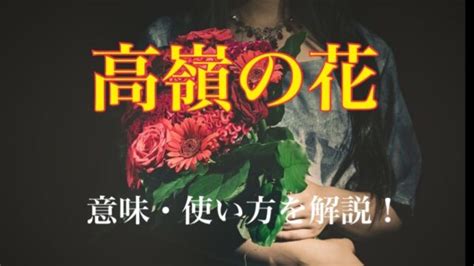 高嶺の花とはどんな意味？「高嶺の花」と言われる女。